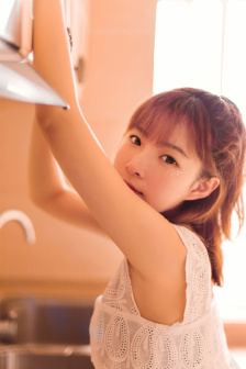 折扇探花